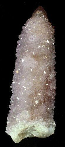 Cactus Quartz (Amethyst) Crystal - South Africa #34962